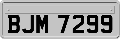 BJM7299