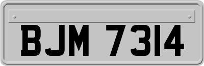 BJM7314