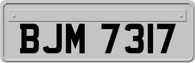 BJM7317