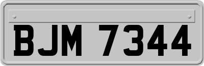 BJM7344