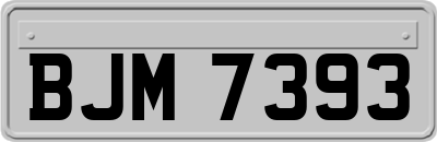 BJM7393
