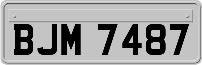 BJM7487
