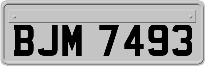 BJM7493