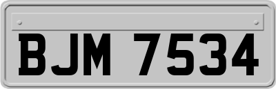BJM7534