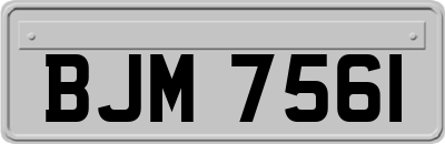 BJM7561