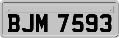 BJM7593