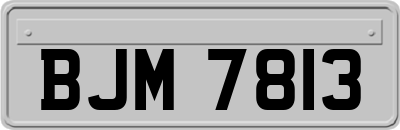 BJM7813