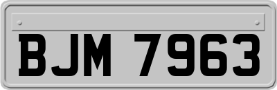 BJM7963