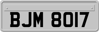 BJM8017