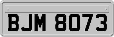 BJM8073