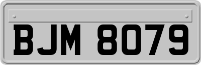 BJM8079