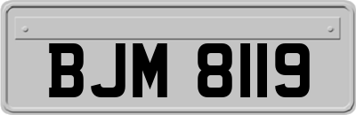 BJM8119