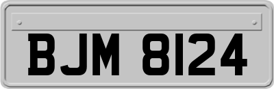 BJM8124