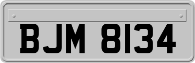 BJM8134