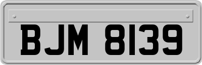 BJM8139