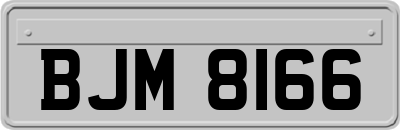 BJM8166