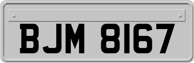 BJM8167