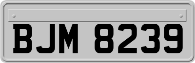 BJM8239