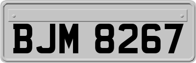 BJM8267