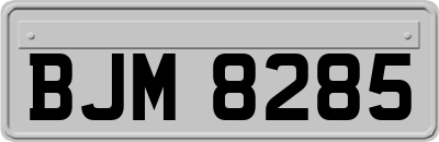 BJM8285