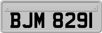 BJM8291