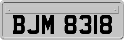 BJM8318