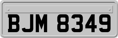 BJM8349
