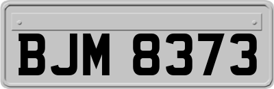 BJM8373