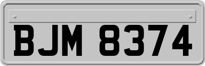 BJM8374