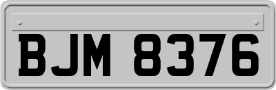 BJM8376