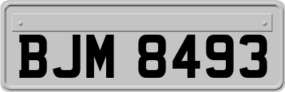 BJM8493