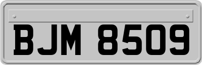 BJM8509