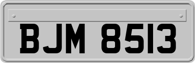 BJM8513