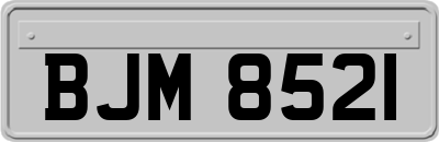 BJM8521