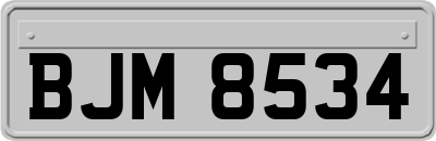 BJM8534