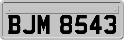 BJM8543