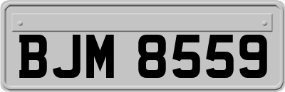 BJM8559