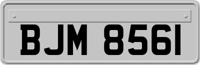 BJM8561