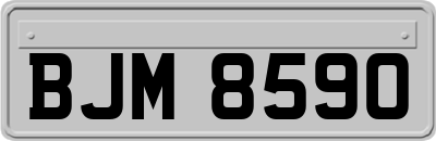 BJM8590