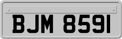 BJM8591