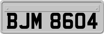 BJM8604
