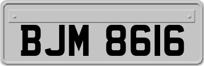BJM8616