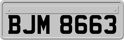BJM8663