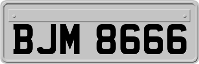 BJM8666