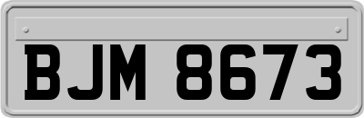 BJM8673