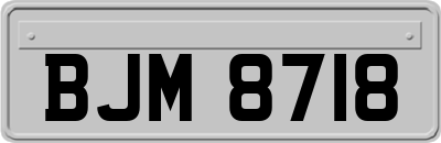 BJM8718