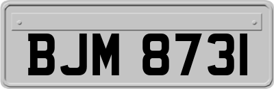 BJM8731