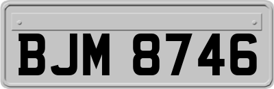 BJM8746