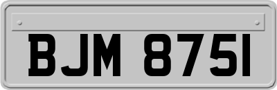 BJM8751