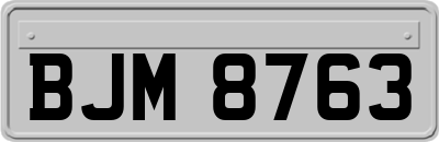 BJM8763